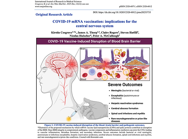 central nervous system, central nervous system,