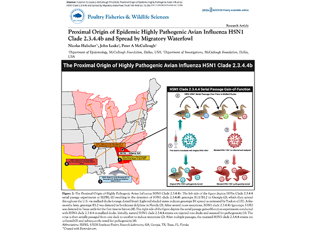 proximal origin proximal origin