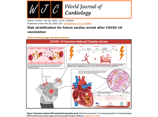 risk stratification risk stratification