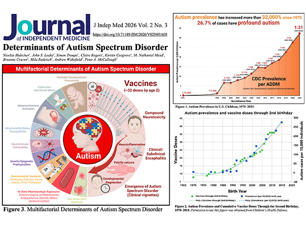 determinants of autism resize